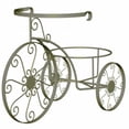 thumbnail image 1 of Whimsical Plant Stand Tricycle, 1 of 1