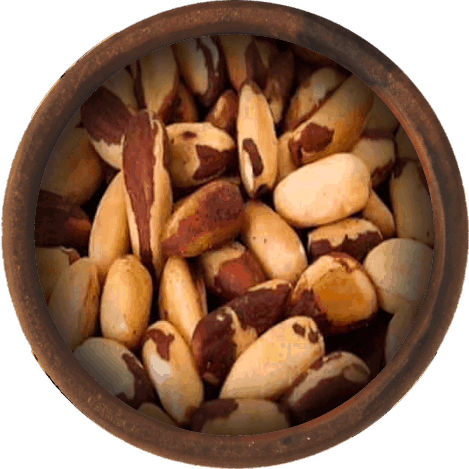 Bulk Brazil Nuts 25 Pound Wholesale Box