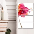 thumbnail image 1 of Beautiful Dual toned Star Flower, 1 of 1