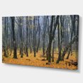 thumbnail image 2 of Bois Foncés en Forêt d'Automne - Art Moderne sur Toile, 2 of 4