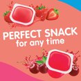 thumbnail image 5 of Snack Pack Zero Sugar Strawberry and Cherry Flavored Juicy Gels, 3.25 oz Snack Cups, 12 Count Family Pack, 5 of 9