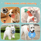 thumbnail image 2 of Set Juguetes De Cuerda Bloosom  Para Perro Morder Paquete De 10pz Multicolor, 2 of 4