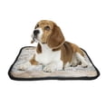 thumbnail image 2 of ABPHQTO Green Wooden Door On Brick Wall Pet Dog Cat Bed Pee Pads Mat Cushion Potty Dogs Blankets Crate Bed Kennel 36x48 inch, 2 of 4