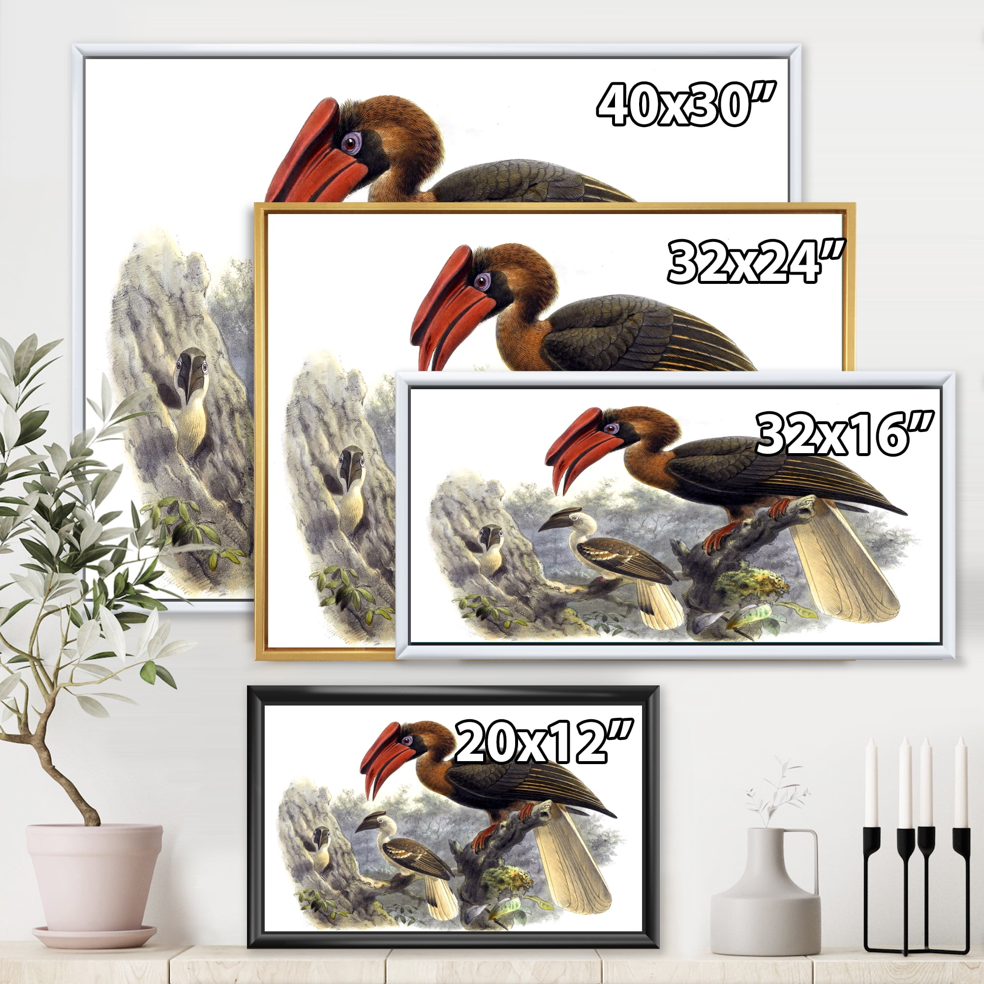 Designart 'Ancient Australian Birds XI' Traditional Framed Canvas Wall Art Print