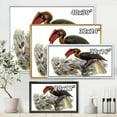 thumbnail image 4 of Designart 'Ancient Australian Birds XI' Traditional Framed Canvas Wall Art Print, 4 of 5