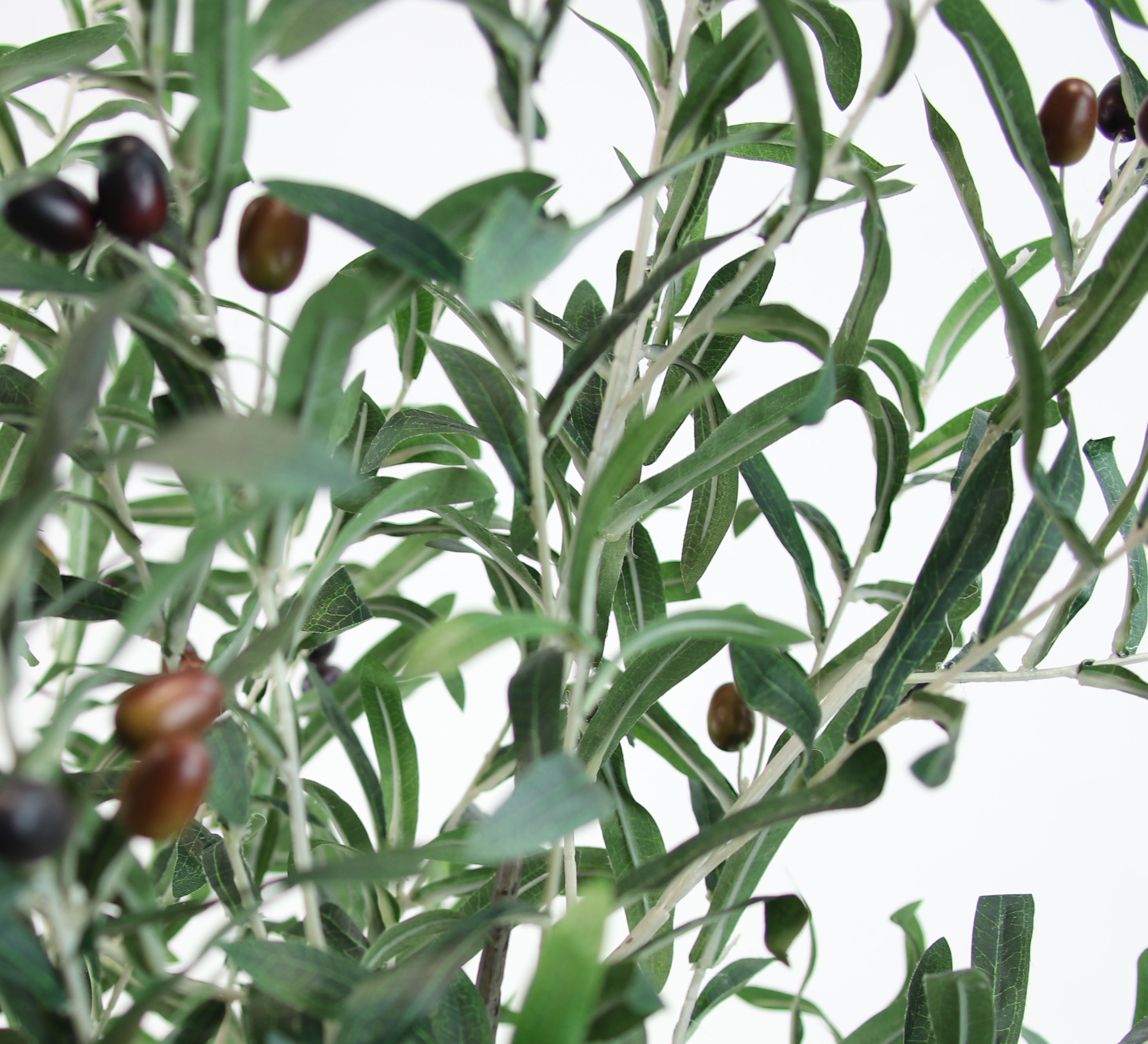 The Mod Greenhouse Faux Green Olive Tree in a Black Matte Planter Pot 72