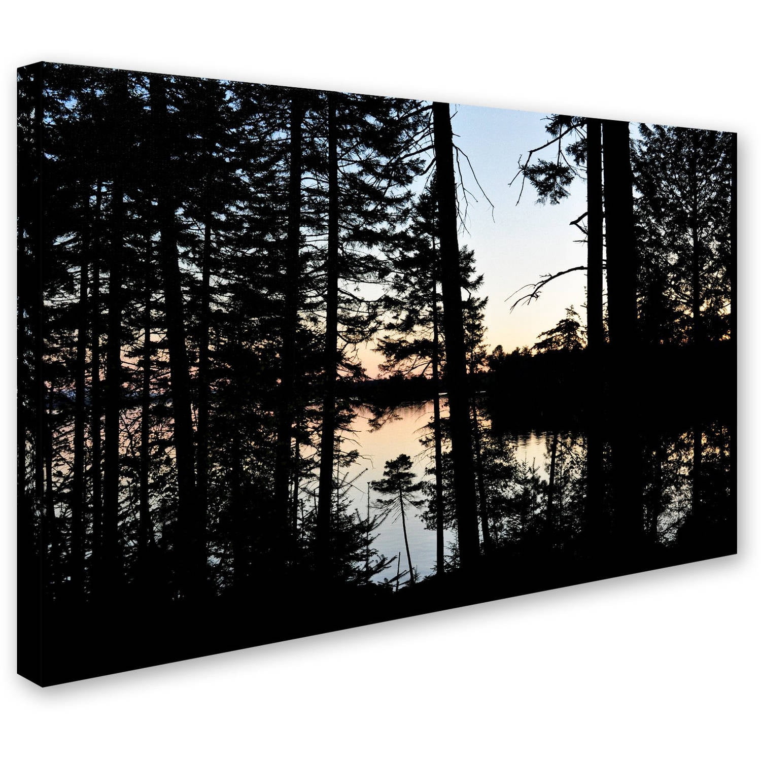 Trademark Fine Art 'Sunset Through the Trees' Canvas Art by Nicole Dietz