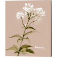 thumbnail image 2 of Great Art Now White Bonesets by Emma Caroline 2 Piece Canvas Art Set Each 12W x 15H, 2 of 3