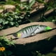 thumbnail image 3 of Wobblers Swimbait de 19cm y 55g con colas suaves, accesorios de pesca con cebo duro, 3 of 6