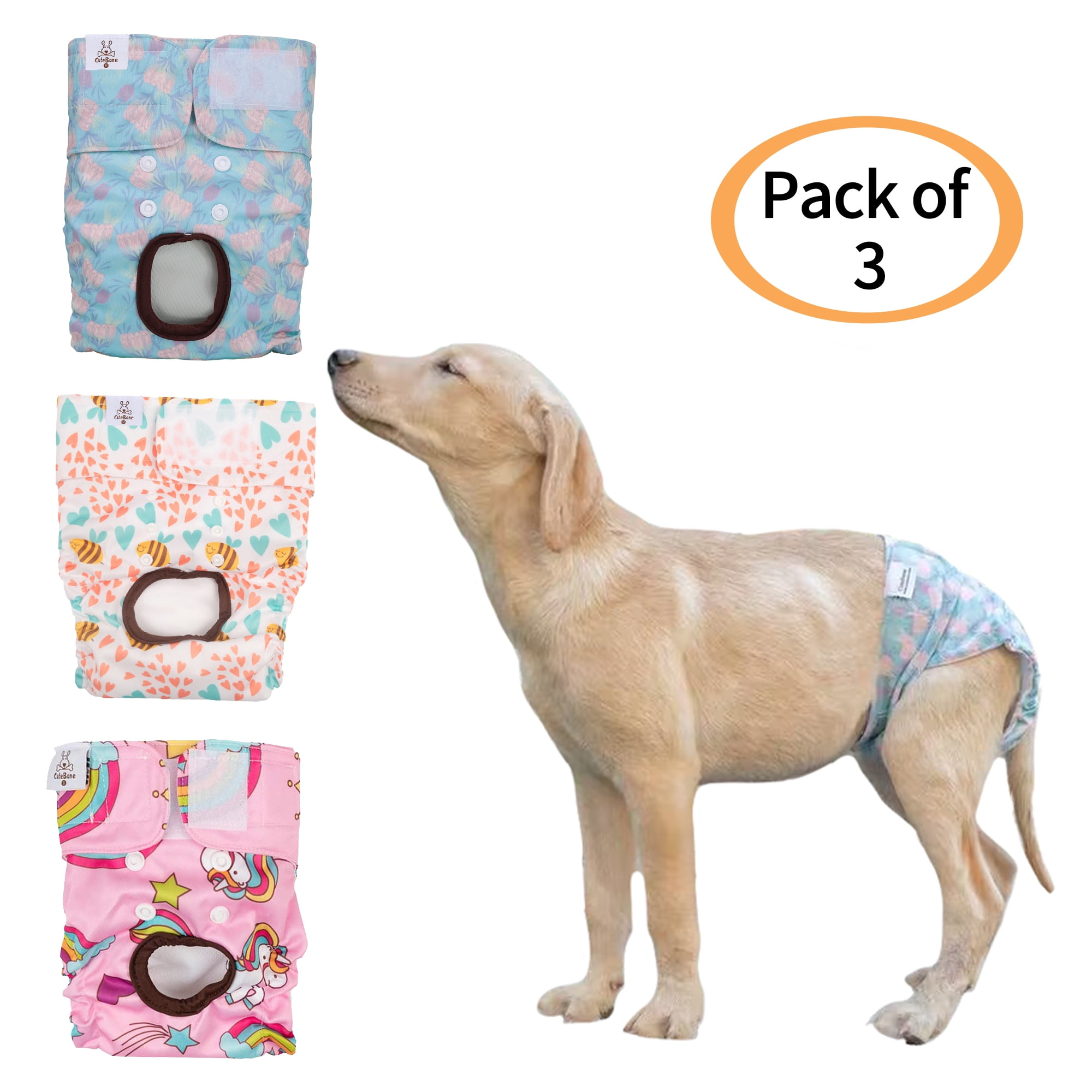 incontinence pants for female dogs