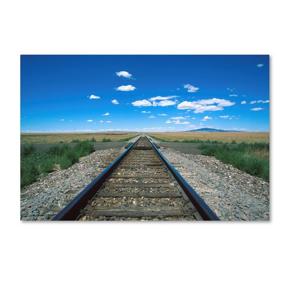 Trademark Fine Art 'Texas Tracks 2' Canvas Art by Robert K Jones