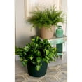thumbnail image 4 of The HC Companies 12" Classic Flower Pot Planter, Terra Cotta (2 Pack), 4 of 6