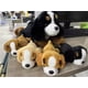 thumbnail image 4 of Perro Skylety de peluche con bebés en su interior, 1 mamá grande con 4 bebés pequeños, 4 of 6
