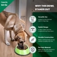 thumbnail image 4 of Iconic Pet 51451 64 oz. Color Splash Stripe Non-Skid Pet Bowl - Green, 4 of 4