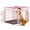 Pink, variant on CL.HPAHKL Small Wire Dog Crate, Folding Metal Dog Kennel Double Door Dog Cage with Plastic Tray, Puppy Crate for Small Dog Indoor Outdoor Travel (Black, 24 inch)