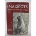 thumbnail image 1 of Marmottes, Comportement Social et Écologie, 1 of 1