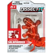 Dissect-It Salamander Lab Interactive Simulation Stem Toy, Anatomy, for Child Ages 6+