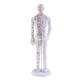 thumbnail image 4 of Modelo de Acupuntura Humana de Suave para Corporal Acupuntura China Meridianos Punto de Acupuntura Soledad Figura de punto de acupuntura, 4 of 7