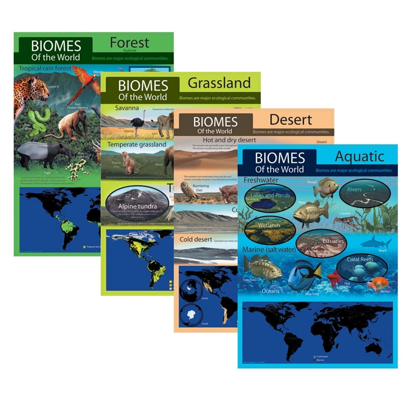 HABITAT BULLETIN BOARD SET