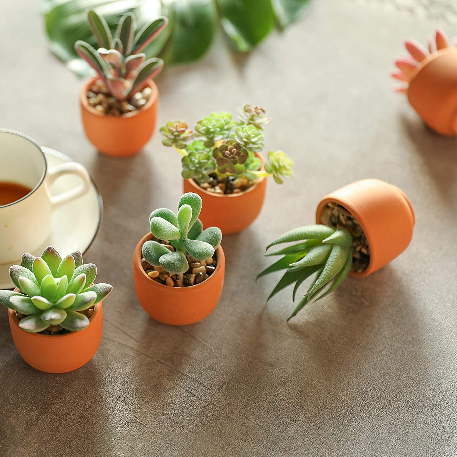 Mini Fake Succulent Plants Artificial Plastic Succulents Potted Faux Assorted Plants for Home Office Table Decoration, Set of 6 (White Plastic Pots)