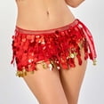 thumbnail image 2 of oqasdz Exquisite Belly Dance Scarf Chain with Sequins Fringe Elastic Waist Elegant Wrap Skirt for Performance Practice Stage Show, 2 of 4