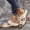 Beige, variant on Orthotic Slide Sandals For Women With Arch Support, Thick Soled Exposed Toe Embroidery Home Slippers, Perfect For Plantar Fasciitis Relief,Summer Going Out Shoes