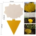 thumbnail image 3 of Innens 12Pcs Sticky Fruit Fly Traps Fungus Gnat Killer Trap Use for Indoor & Outdoor, 3 of 11
