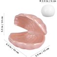 thumbnail image 2 of IMATTOE A Shell Pearl Light LED Accent Lamp Portable Night Light Pearl in Shell Desktop Ornament Home Decor for Bedroom Living Room (Pink), 2 of 5