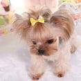 thumbnail image 4 of Visland Clips Flower Bowknot Hairpin Pet Grooming For Dog, 4 of 6