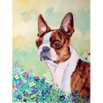 thumbnail image 1 of Carolines Treasures 7222GF 11 x 15 Po. Drapeau de Jardin Boston Terrier Rouge et Blanc, 1 of 2