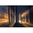 thumbnail image 2 of Pavlasek, Tom 32x23 Black Ornate Wood Framed with Double Matting Museum Art Print Titled - Forest, 2 of 4