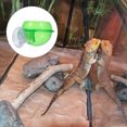 thumbnail image 4 of unbranded 2Ud De Comida Y Para Reptiles Con Superficie Y Material, 4 of 6