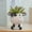 As show, variant on HongHeng Small Succulent Pots with Drainage Hole, Cute Ceramic Animal Planter, Unique Air Plant Holder, Desktop Plant Flower Pot for Indoor Plants, Cactus, Garden, Home Decor