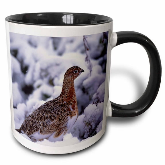 3drose, Usa, Alaska, Denali Np, Willow Ptarmigan Bird - Us02 Csl0087 - Charles Sleicher, 11oz Two-tone Black Mug