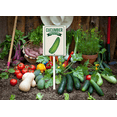 thumbnail image 5 of Eveokoki Aluminum Seed & Plant Labels - Plant Markes for Seedlings-Plant Tags for Pots - Garden Signs for Vegetable - Durable Markers for Plants Outdoor Waterproof - Garden Decor for Farmhouse, 5 of 6