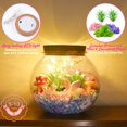 thumbnail image 4 of Kit de terrario con forma de unicornio KASU con iluminación y guirnaldas de luces para Gi, 4 of 7