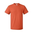 thumbnail image 2 of Fruit of the Loom Men's 5 oz. 100% Heavy Cotton HD T-Shirt, 2 of 2