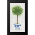 thumbnail image 2 of Tava Studios 14x24 Black Modern Framed Museum Art Print Titled - Thyme Topiary, 2 of 5