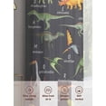 thumbnail image 5 of Dinosaur Family Sheer Curtains 2 Panels Set Retro Watercolor Dinosaur Name Letter Grey Sheer Window Curtains Light Filtering Rod Pocket Voile Drapes for Bedroom Living Room 52"x63", 5 of 8