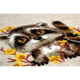 thumbnail image 2 of Little Raccoon R1754 Counted Cross Stitch Kit, 2 of 3