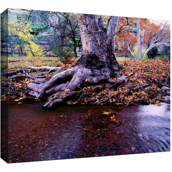 Dean Uhlinger "Aravaipa Canyon Creek" Gallery-Wrapped Canvas