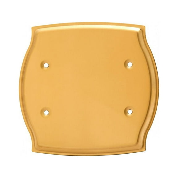 Switchplate Bright Solid Brass Double Blank | Renovator's Supply