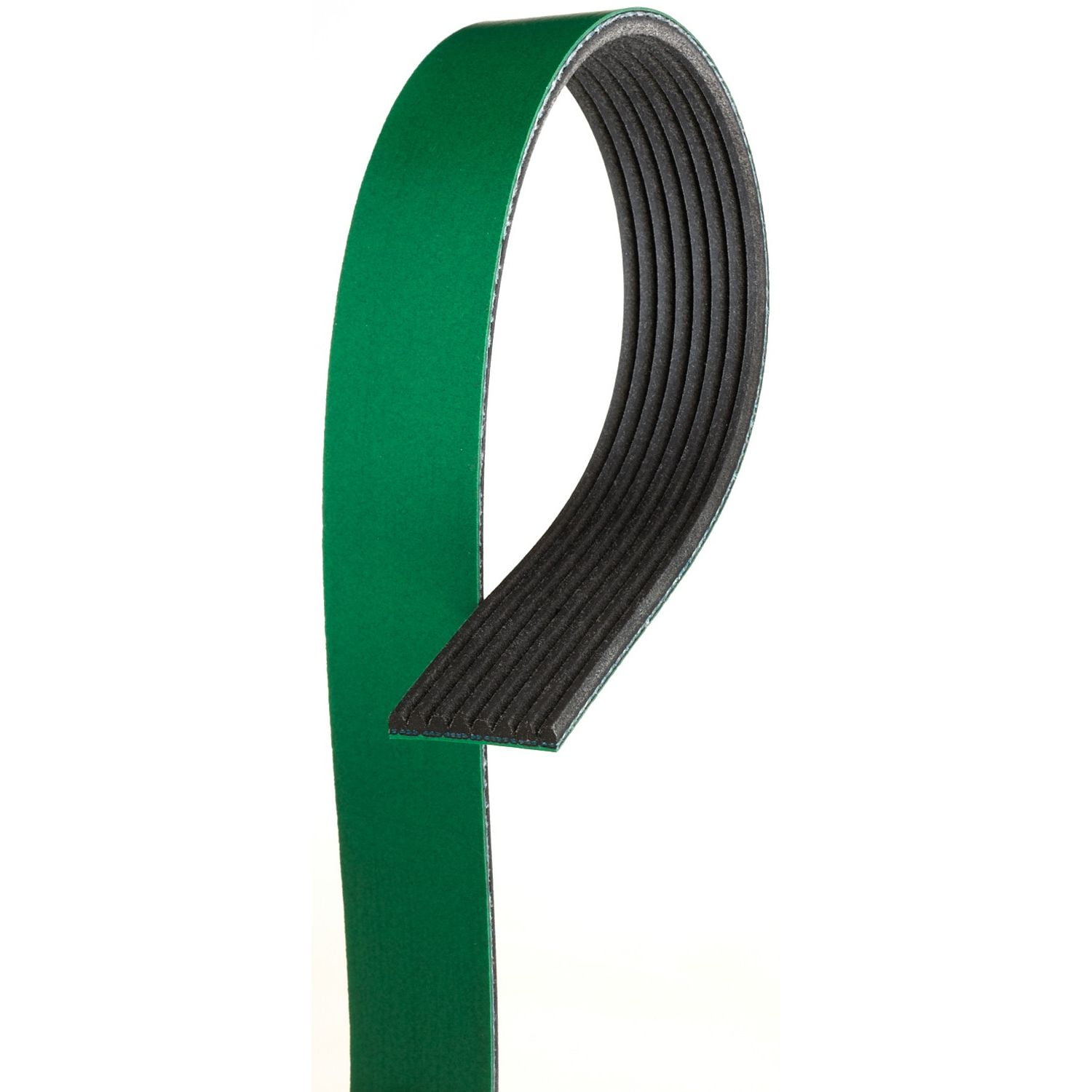 Serpentine Belt
