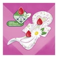 thumbnail image 3 of Toallas femeninas Saba Confort manzanilla regular con alas flujo abundante 42 pzas, 3 of 6