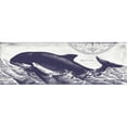 thumbnail image 3 of Babbitt, Gwendolyn 24x11 Black Modern Framed Museum Art Print Titled - Whale on Cream II, 3 of 5
