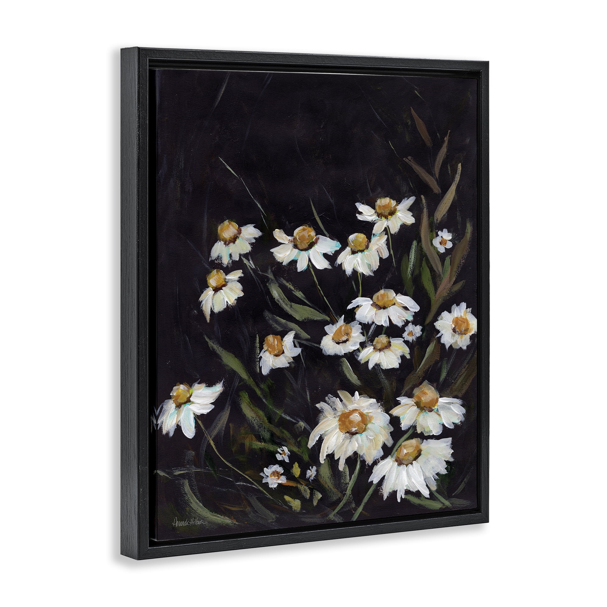 Stupell Industries Daisies on Black Botanical & Floral Painting Black Floater Framed Art Print Wall Art, 25 x 31