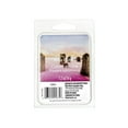 thumbnail image 1 of MAINSTAYS POURPRE SABLONNEUX CUBES DE CIRE, 1 of 1