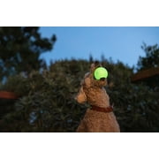 Harry Barker Durable All-Natural Rubber Balls for Dogs, 2.5 Glow Balls, Yellow, 2 Pack Set