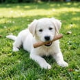 thumbnail image 3 of Coffee Wood Dog Chew Stick, Tough Chew Toy for Aggressive Chewers, Dog Teething Toy for Puppies, Coffee Tree Stick for Small Dogs, Chew Stick for Chewing Training, Pack of 1, 3 of 5