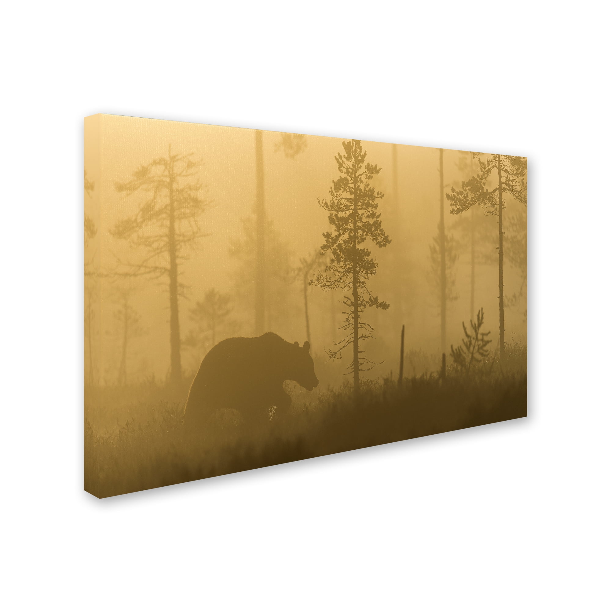 Trademark Fine Art 'Morning Fog' Canvas Art by Svein Ove Linde